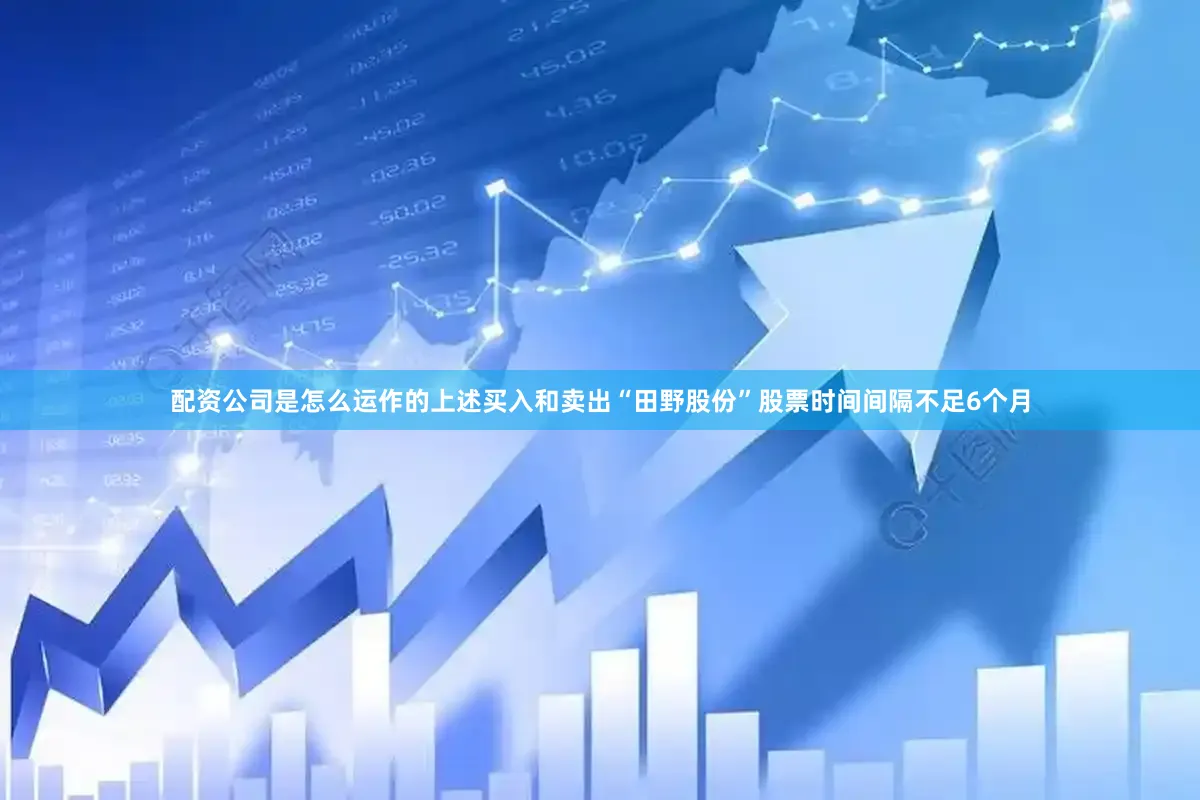 配资公司是怎么运作的上述买入和卖出“田野股份”股票时间间隔不足6个月