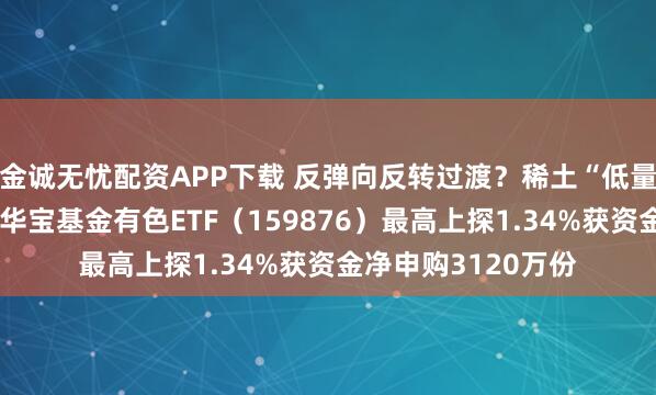 金诚无忧配资APP下载 反弹向反转过渡？稀土“低量高价”增厚利润，华宝基金有色ETF（159876）最高上探1.34%获资金净申购3120万份